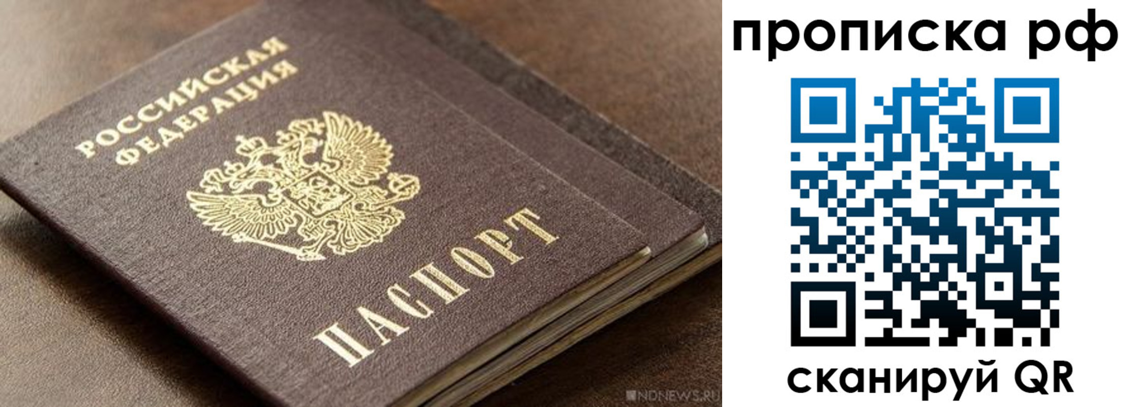 временная регистрация гарантия в Вольске